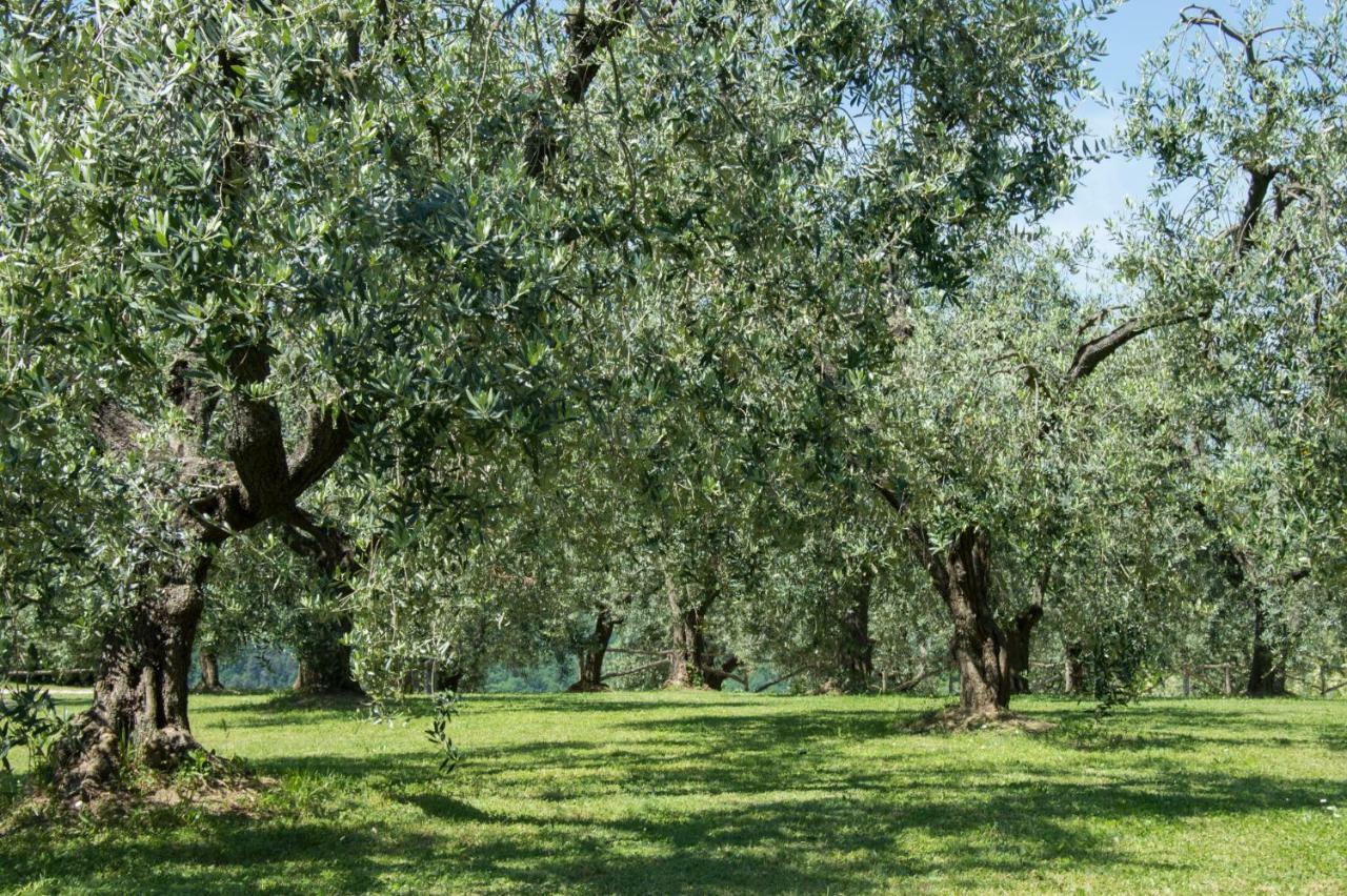 Agriturismo Podere La Casa Palaia Buitenkant foto