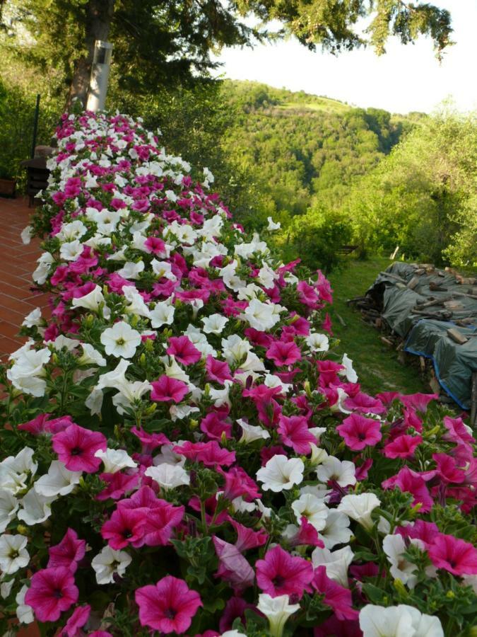 Agriturismo Podere La Casa Palaia Buitenkant foto